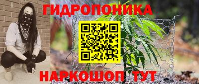круглые Владимир