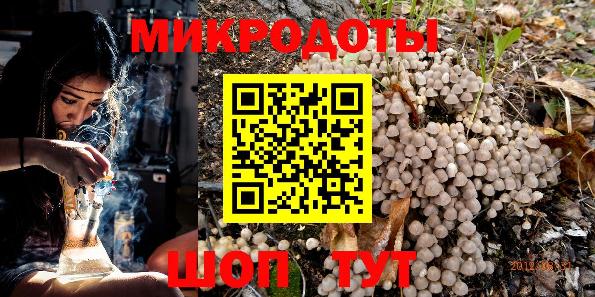 Прокопьевск  закладка  Вход с VPN  Галлюциногенные грибы Psilocybine cubensis 